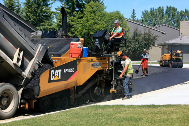 Best Decorative Driveway Pavers  in Indian Shores, FL